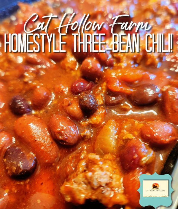 Homestyle Chili