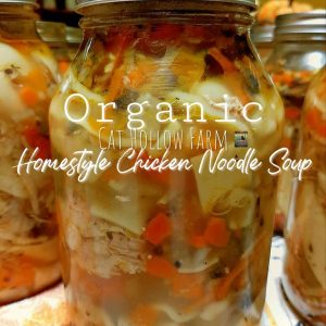 Homestyle Chicken Noodle Soup